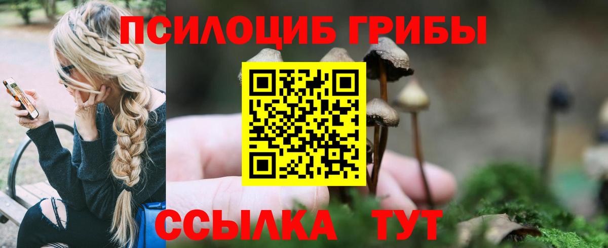 Дагестанские Огни  Псилоцибиновые грибы Psilocybe  Вход с VPN 